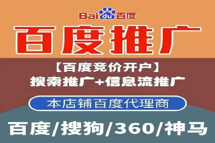 行业标杆的SEM竞价营销案例研究